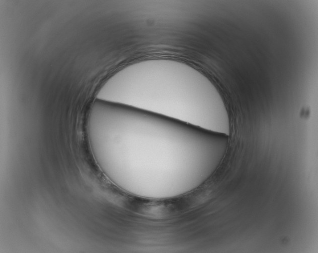 X0000111020267200906191238