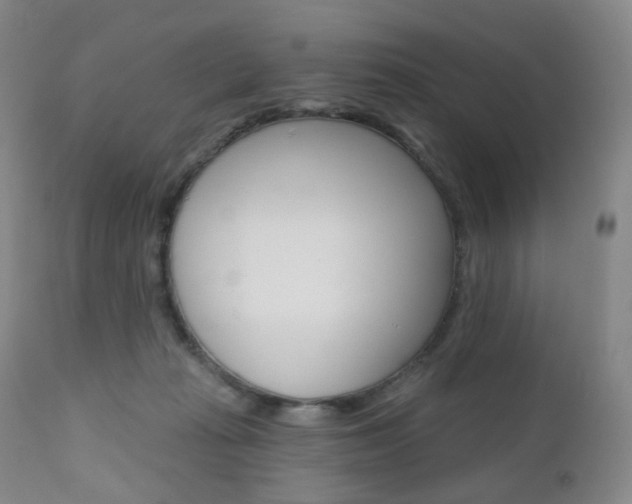 X0000111020269200906191238