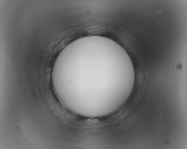X0000111020271200906191238