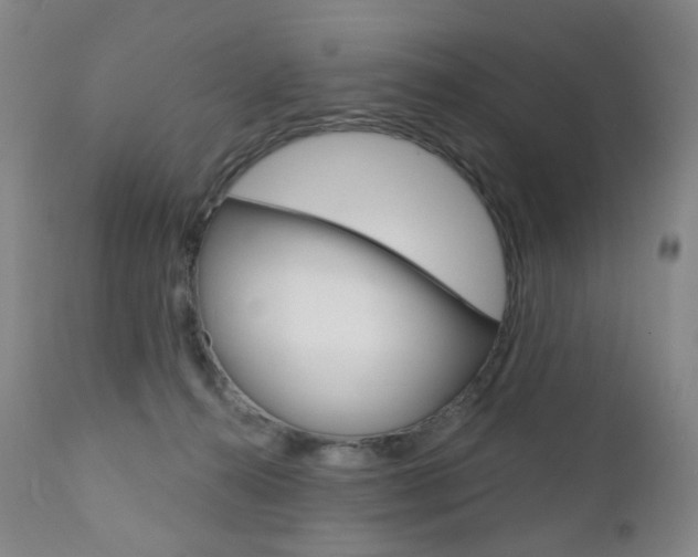 X0000111020272200906191238