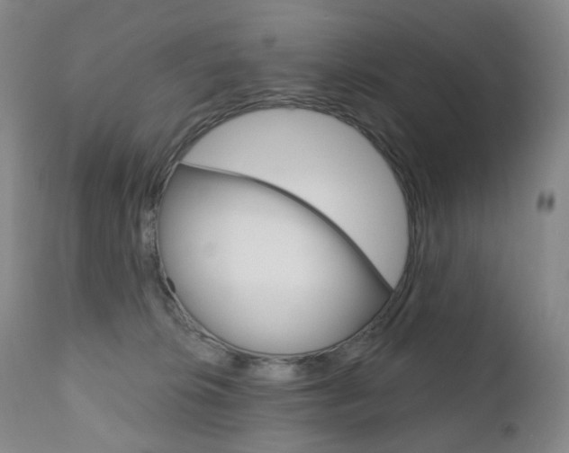 X0000111020276200906191238