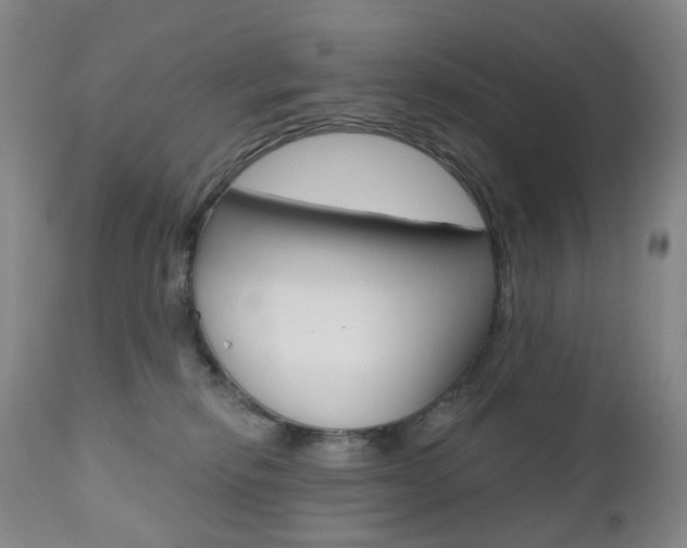 X0000111020278200906191238