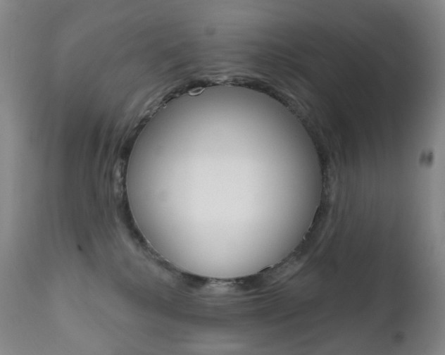X0000111020280200906191238