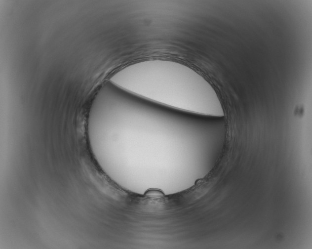 X0000111020282200906191238