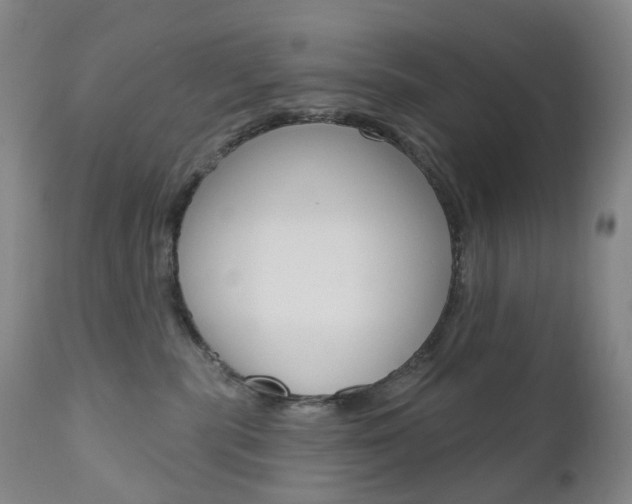 X0000111020283200906191238