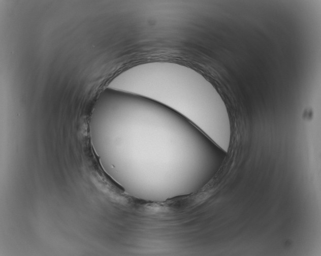 X0000111020284200906191238