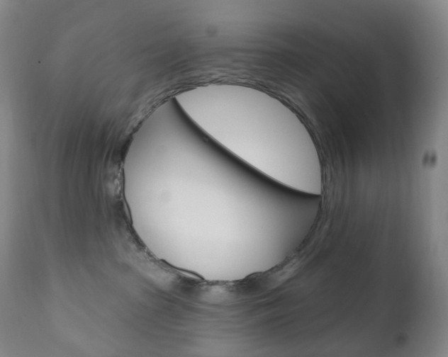 X0000111020285200906191238