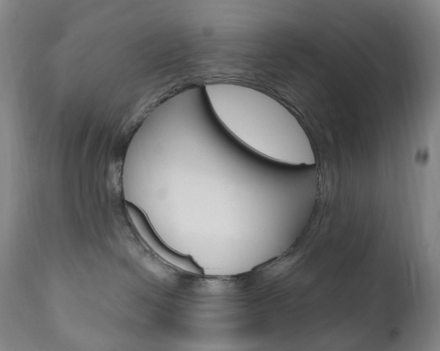 X0000111020286200906191238