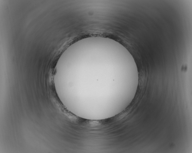 X0000111020287200906191238