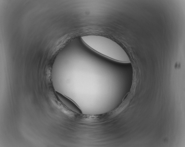 X0000111020288200906191238