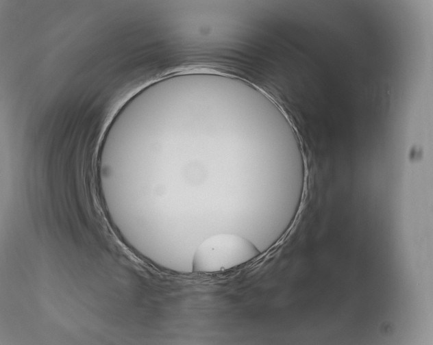 X0000111020289200906191237