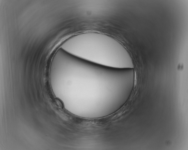 X0000111020291200906191237