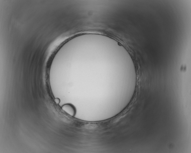 X0000111020294200906191237