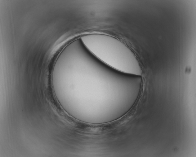 X0000111020295200906191237