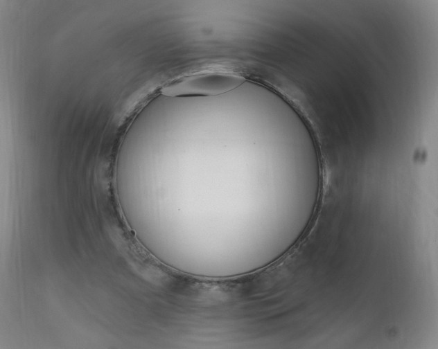 X0000111020297200906191237