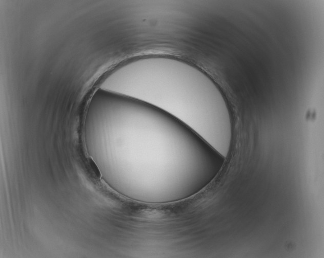 X0000111020300200906191237
