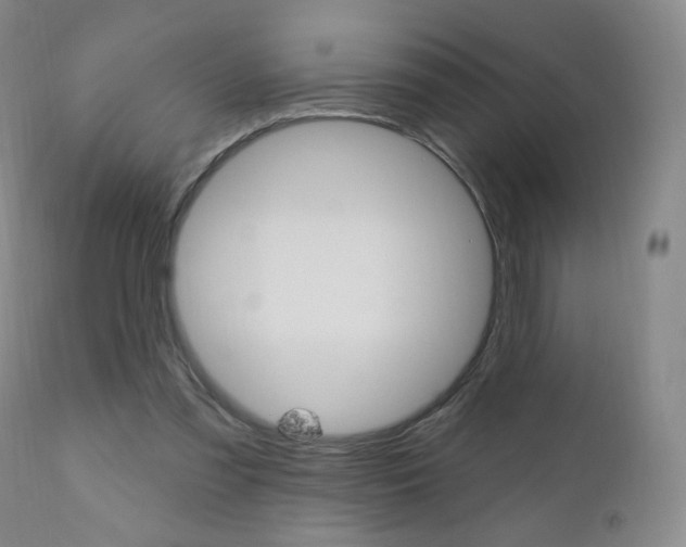 X0000111020301200906191237