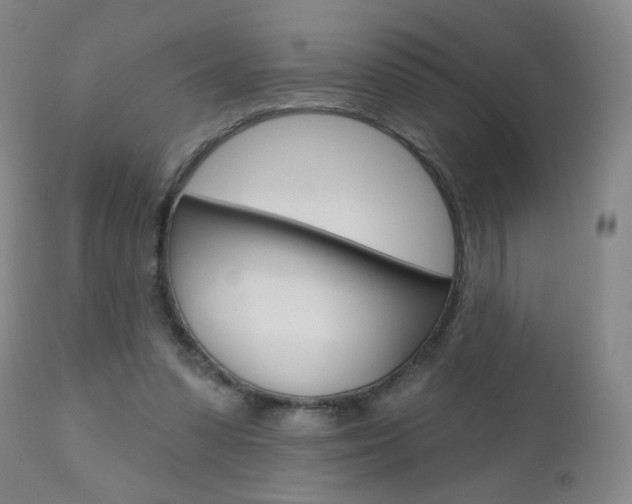 X0000111020303200906191237