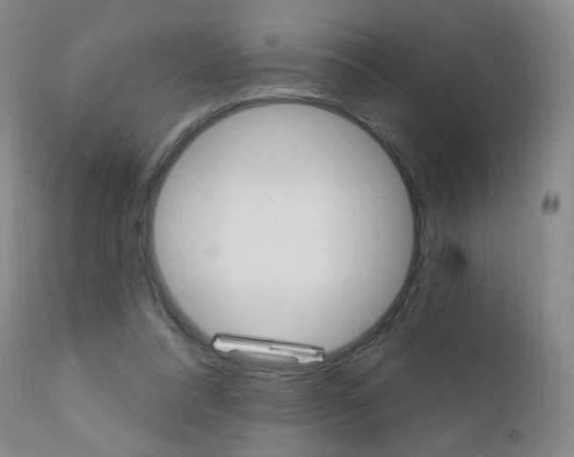 X0000111020304200906191237