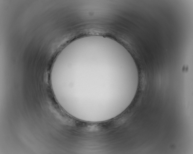 X0000111020310200906191237