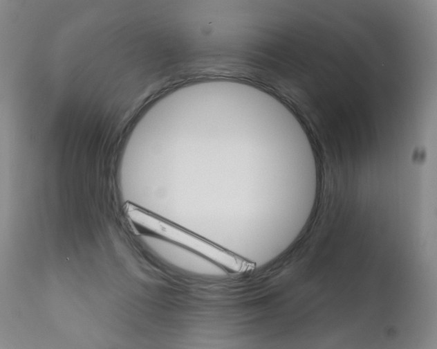 X0000111020312200906191237