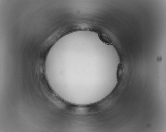 X0000111020313200906191237