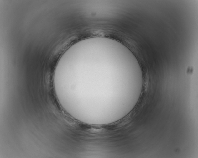 X0000111020314200906191237