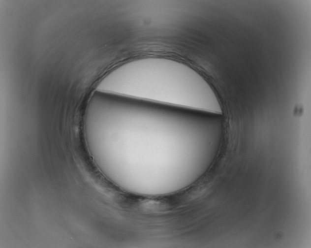 X0000111020315200906191237