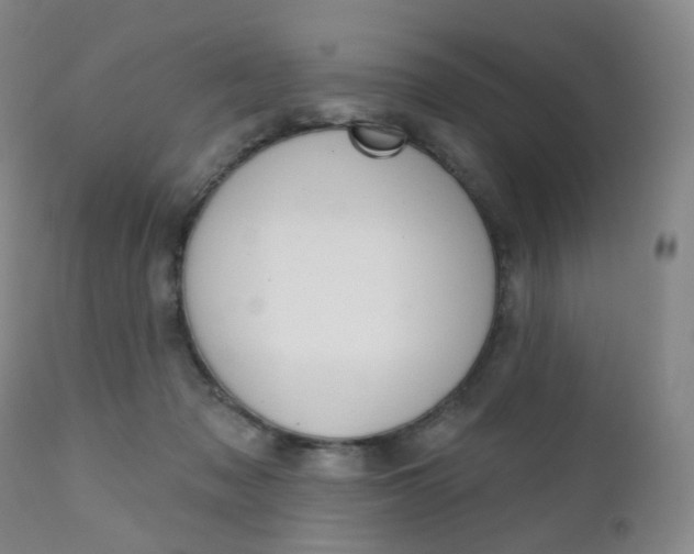 X0000111020317200906191237
