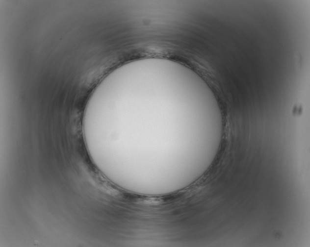 X0000111020318200906191237