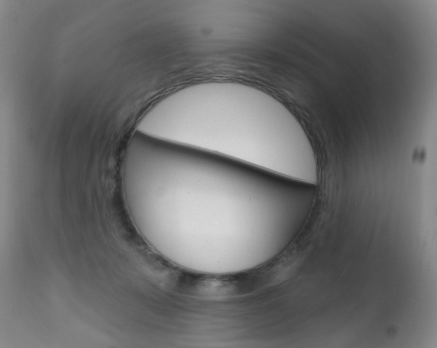 X0000111020319200906191237