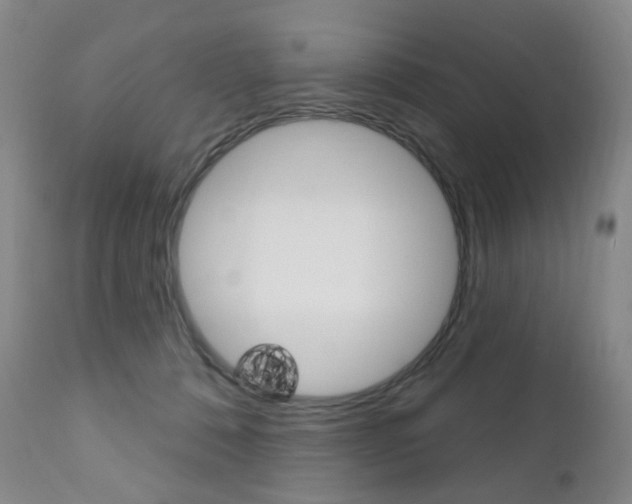 X0000111020320200906191237