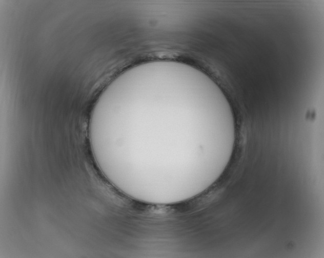 X0000111020321200906191237