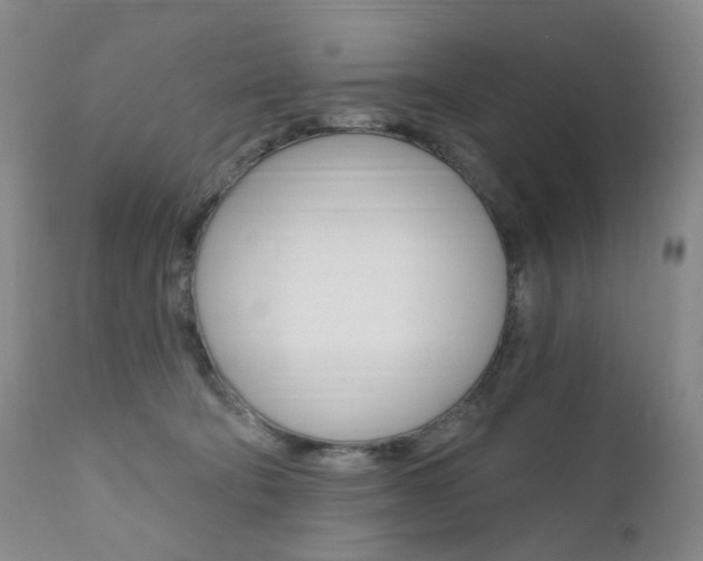 X0000111020322200906191237