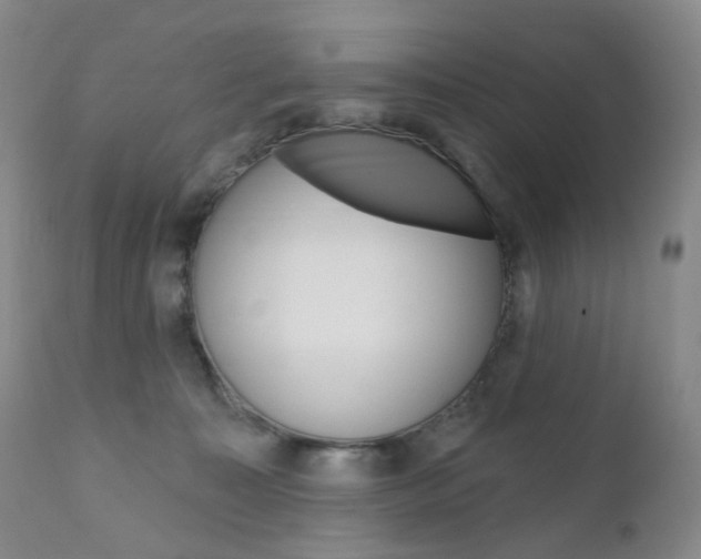 X0000111020323200906191237