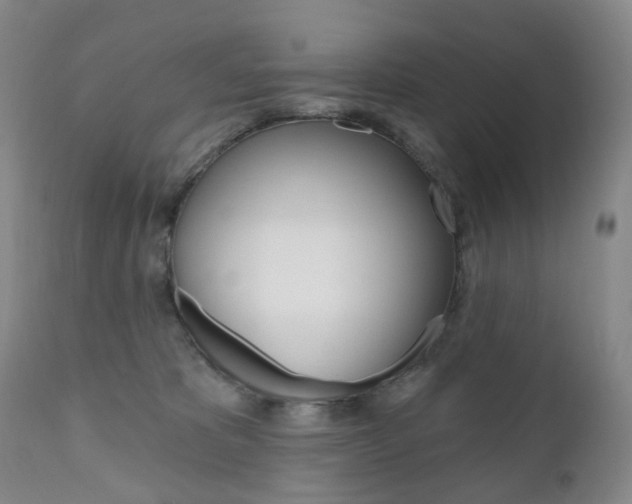 X0000111020325200906191237
