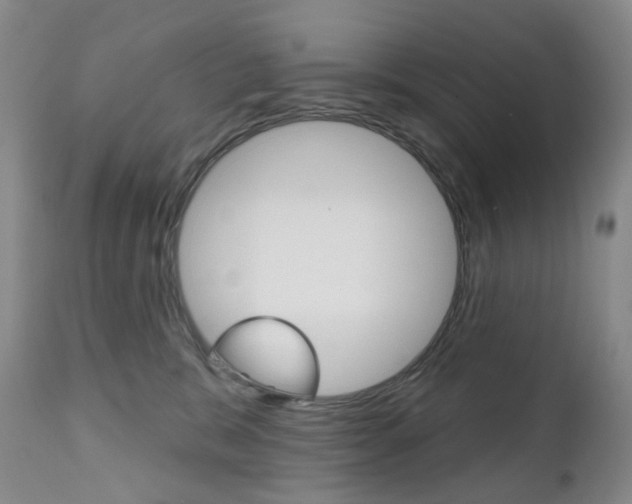 X0000111020327200906191237