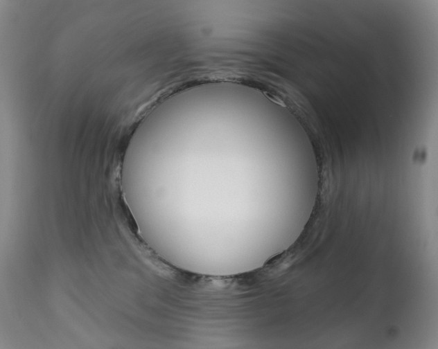 X0000111020329200906191237