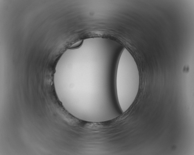 X0000111020331200906191237