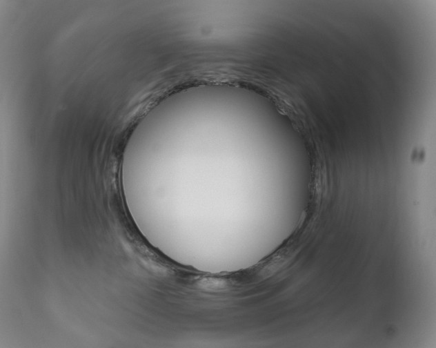 X0000111020332200906191237