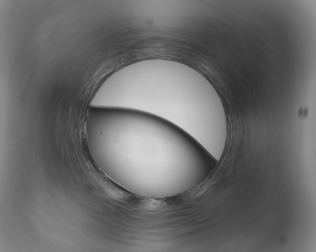 X0000111020333200906191237