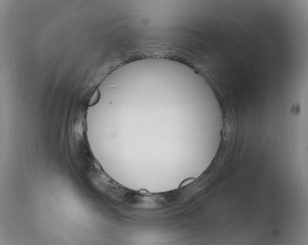 X0000111020334200906191237