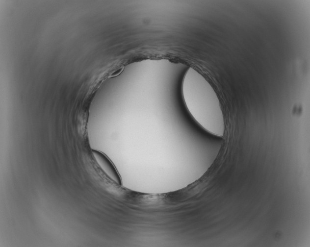 X0000111020335200906191237