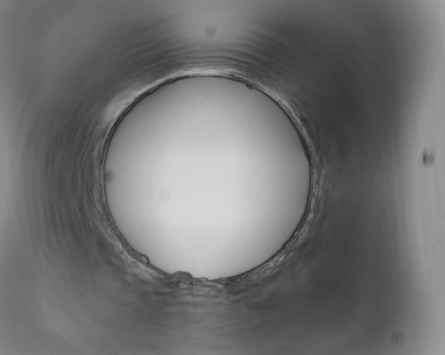 X0000111020337200906191236