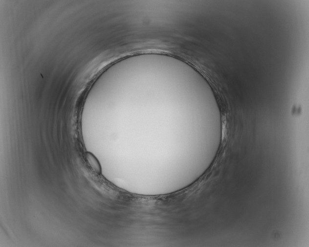 X0000111020339200906191236