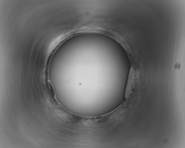 X0000111020340200906191236