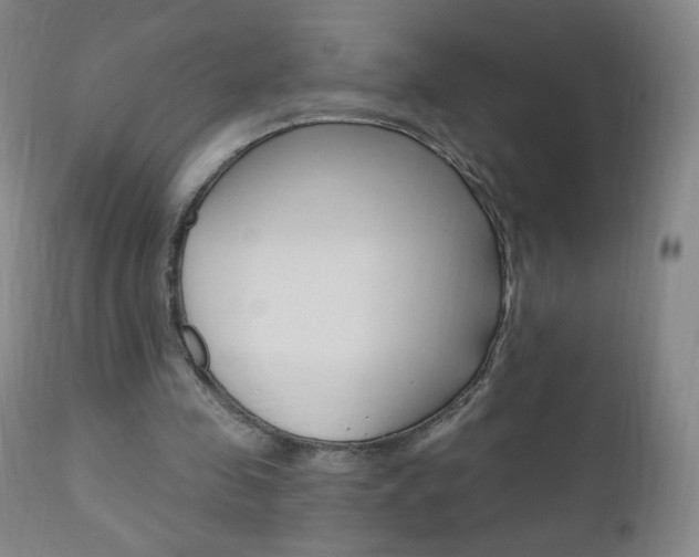 X0000111020341200906191236