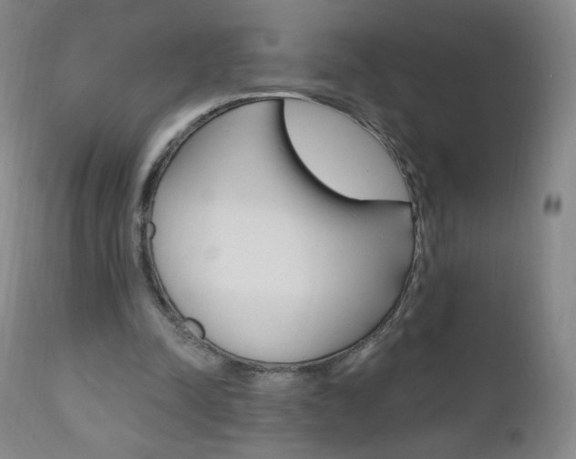 X0000111020342200906191236