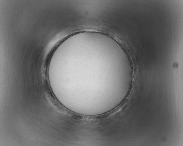 X0000111020343200906191236