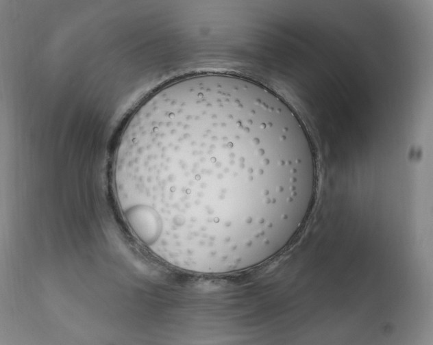 X0000111020346200906191236